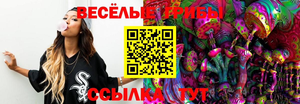 Галлюциногенные грибы мицелий Старая Купавна